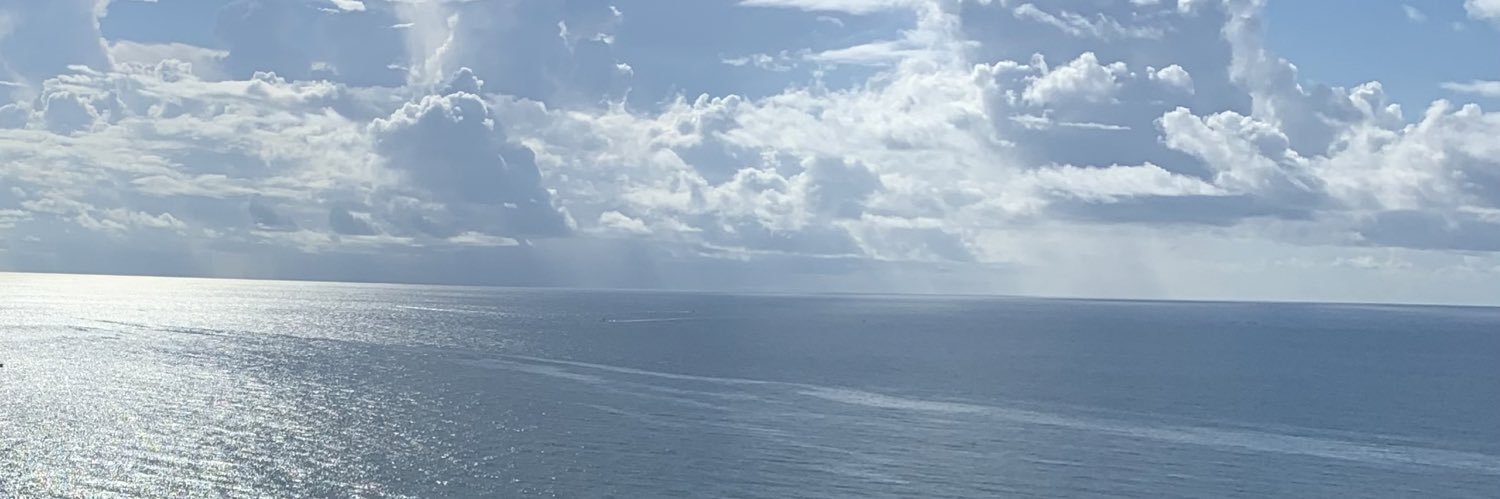 Lori Smith banner