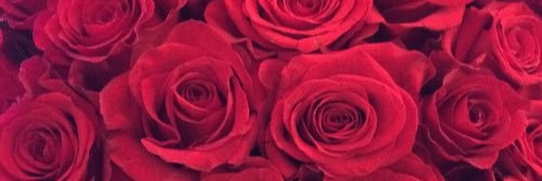 FMZIIIX's profile banner image