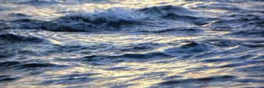 🍳 banner