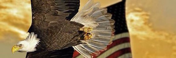 therealzteam Profile Banner