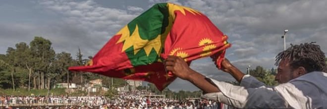 sabaafloola's profile banner image