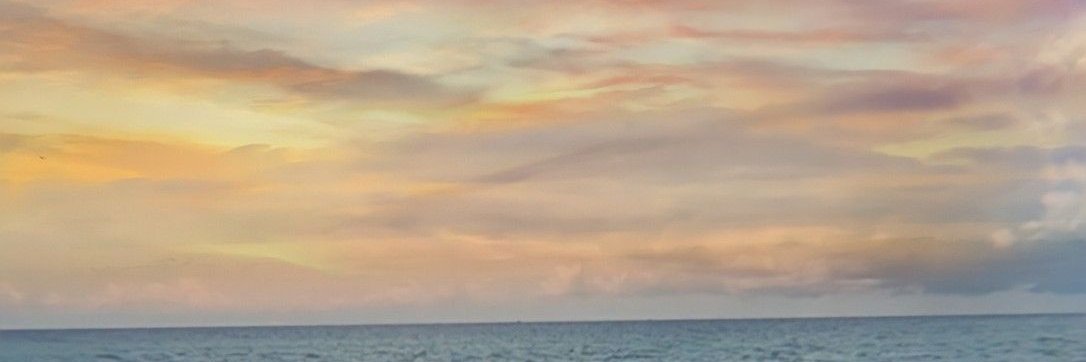 mw63's profile banner image