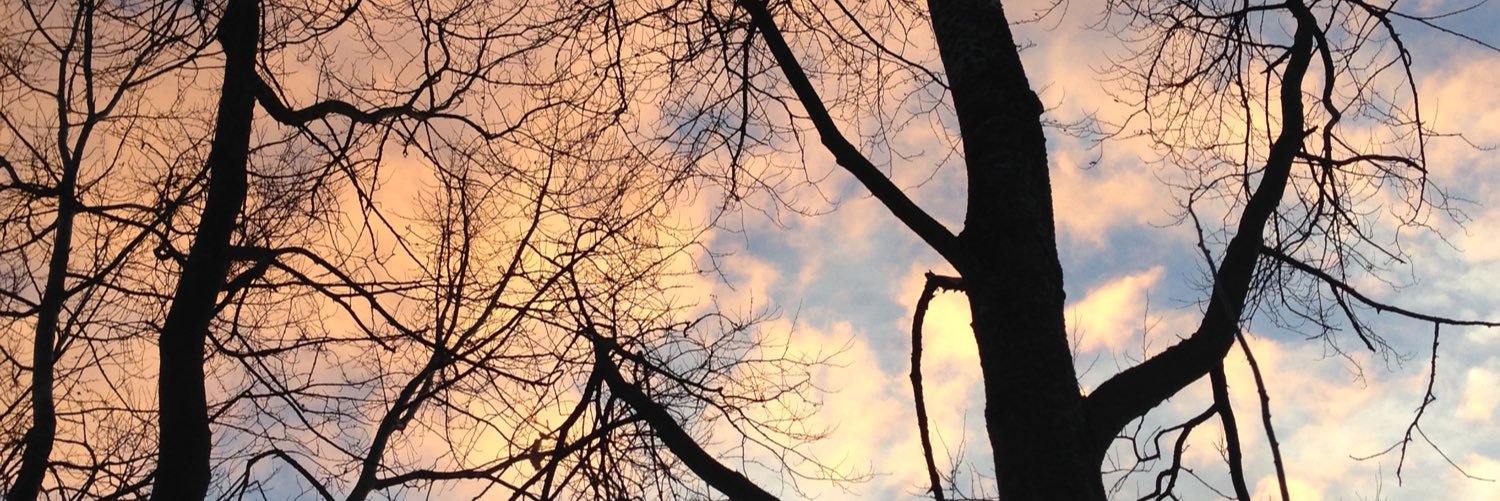 Jahen F. Rezki banner