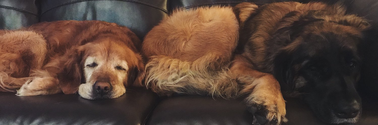 sammyseyms's profile banner image