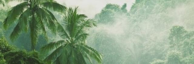 Peen_Is's profile banner image