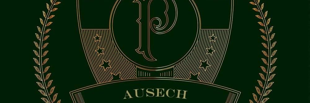 ausechjunior's profile banner image