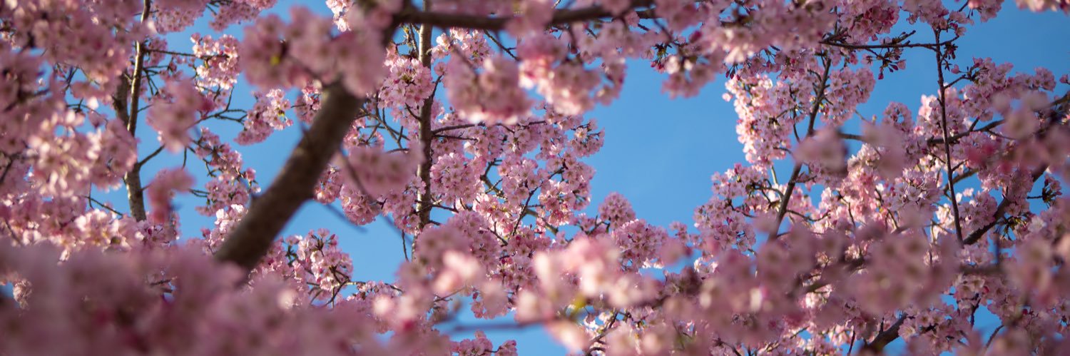 jaders88's profile banner image