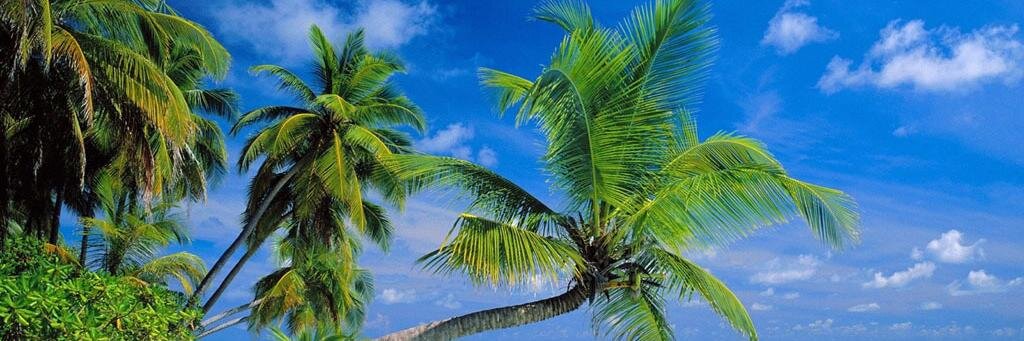 mariri384's profile banner image
