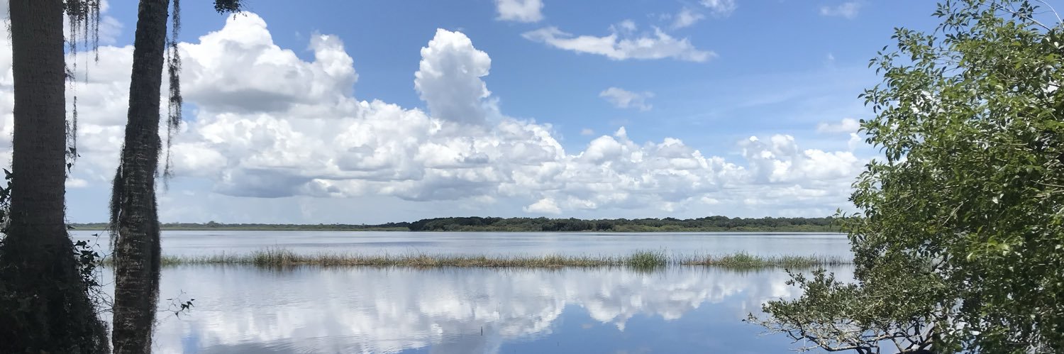 Johann Sebastian banner