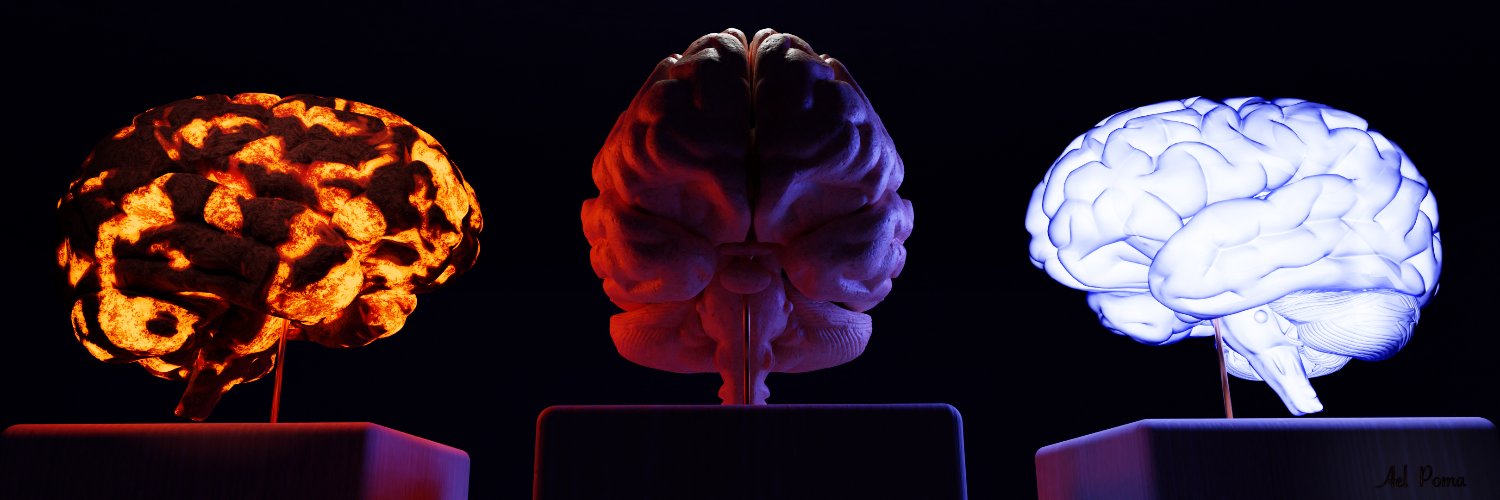 AelPoma's profile banner image
