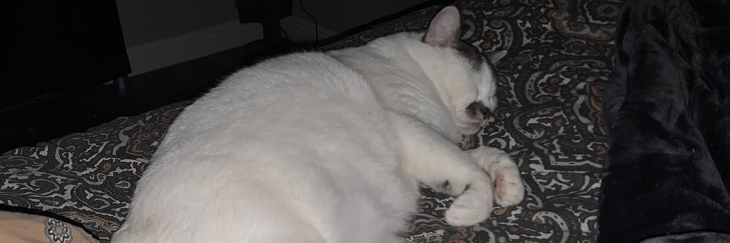 indoorraccon's profile banner image