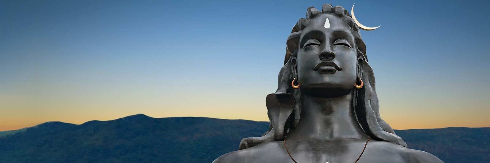 Rohit Girdhar banner