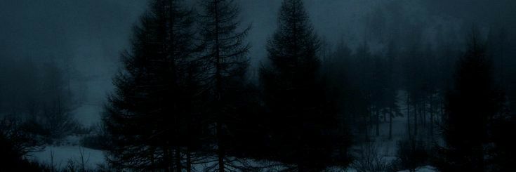 sweetnightk__'s profile banner image