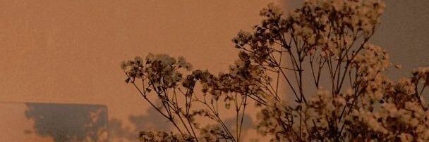 hayaulya's profile banner image
