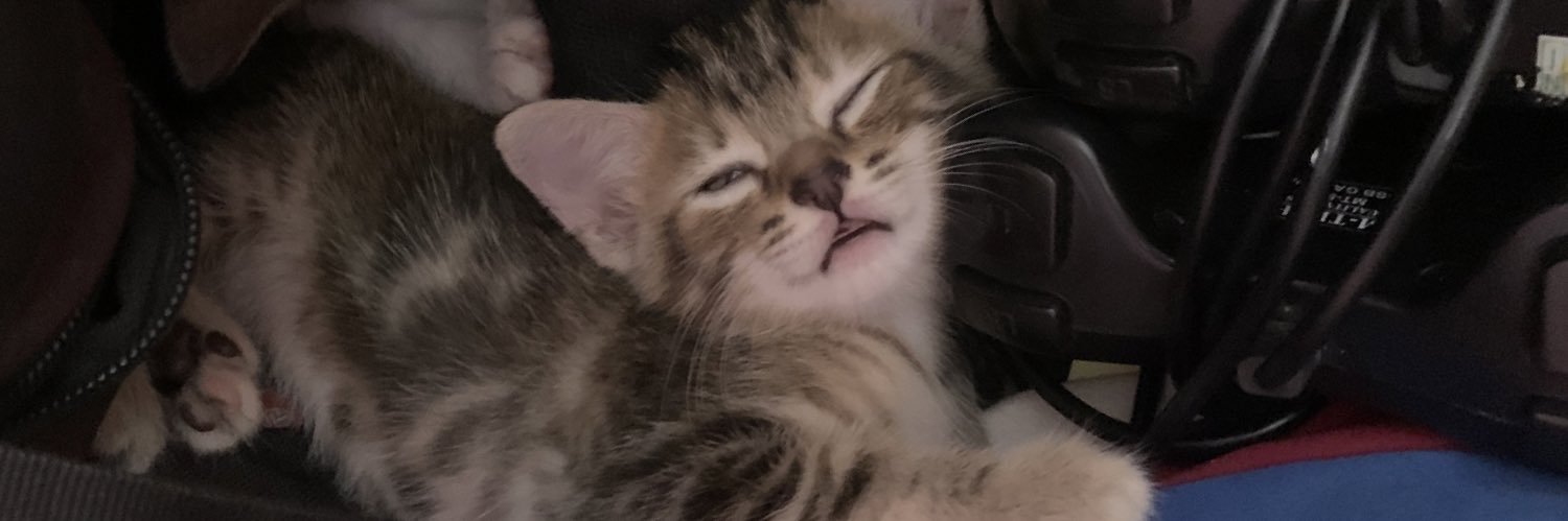 Zzzzaaa__'s profile banner image