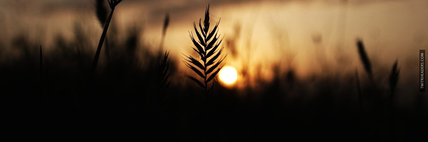 JoshuaAhrens's profile banner image