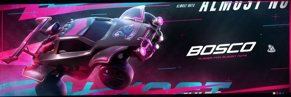 BoscoBoy13 Profile Banner