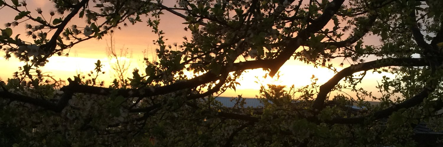 bynihat's profile banner image