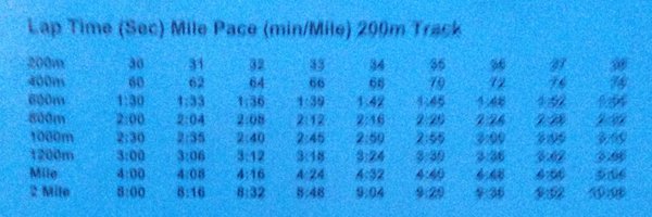 ladyhawkstf Profile Banner