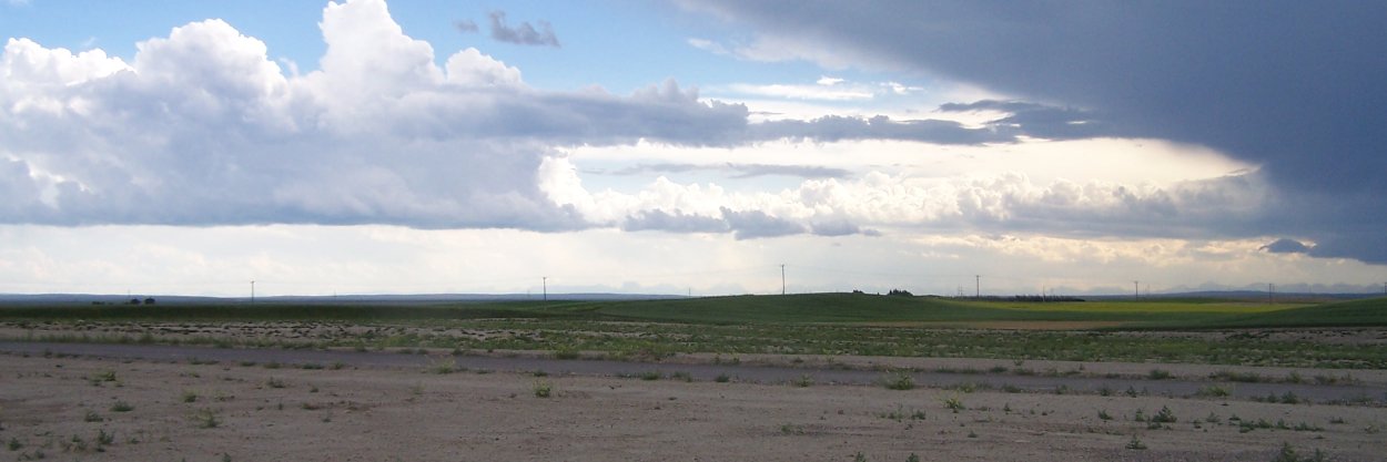 wlwx's profile banner image