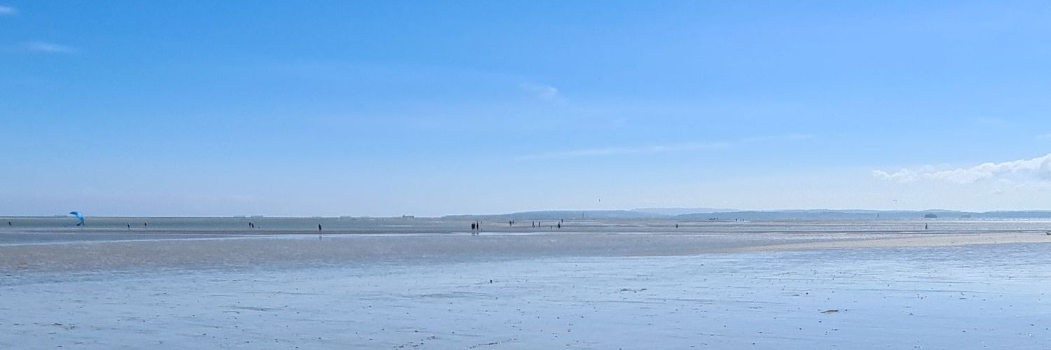 logansfolly's profile banner image