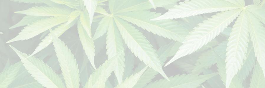 cs420usa's profile banner image