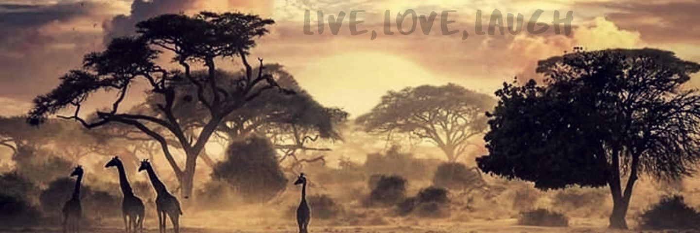 machariambugua's profile banner image