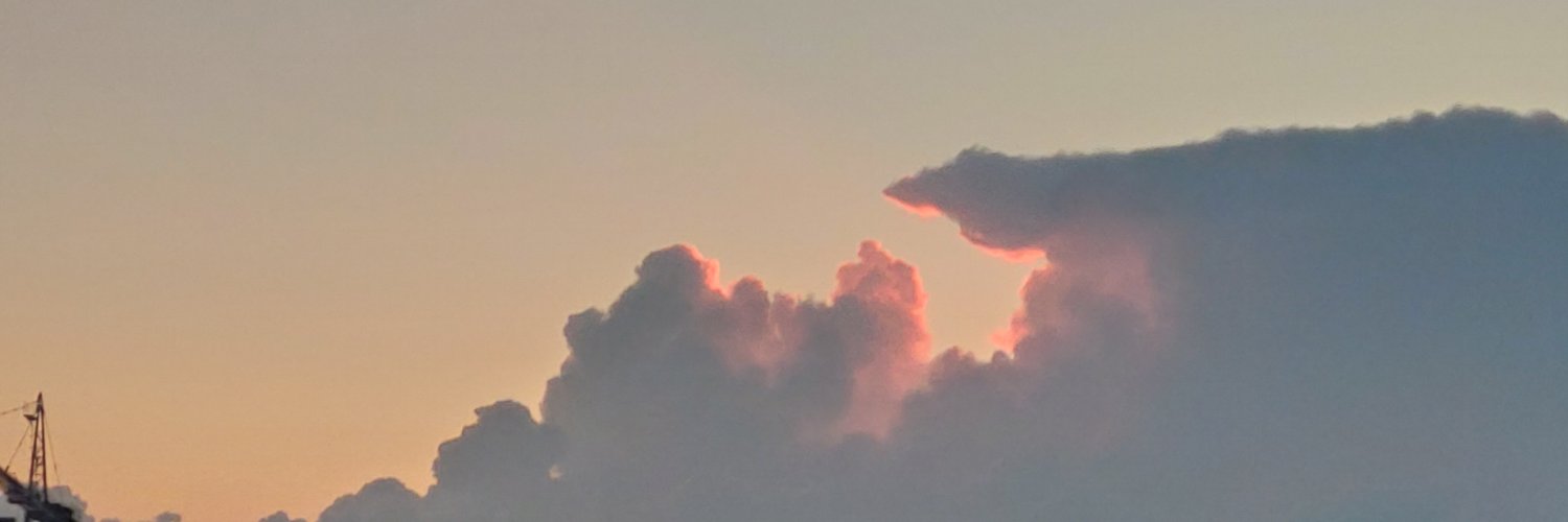 sidelMary's profile banner image