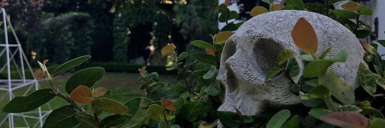 Meg1097's profile banner image