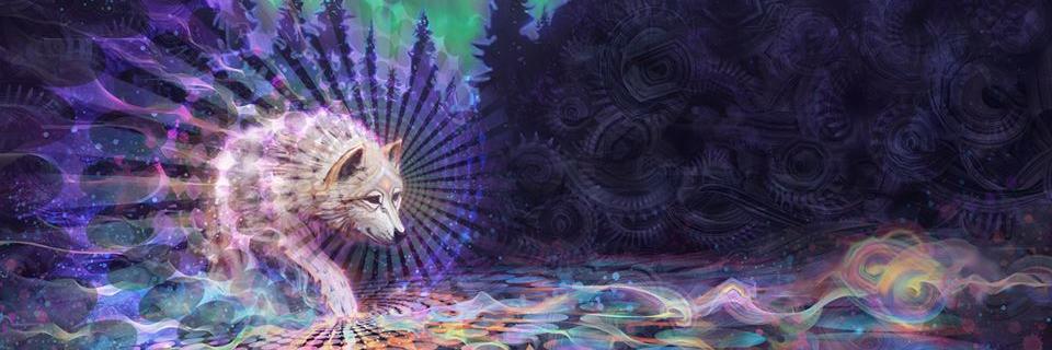 chinikat's profile banner image