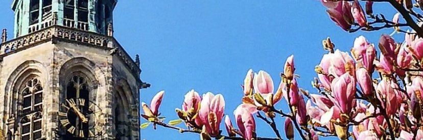 alicefun's profile banner image