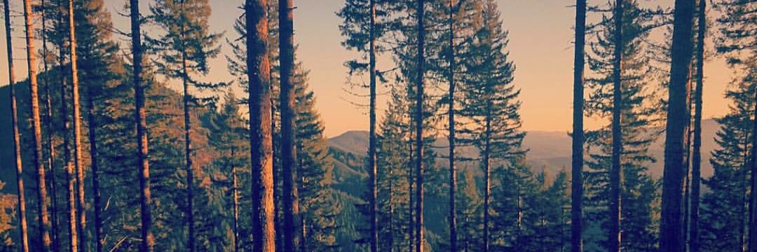 AlyssaWatters's profile banner image