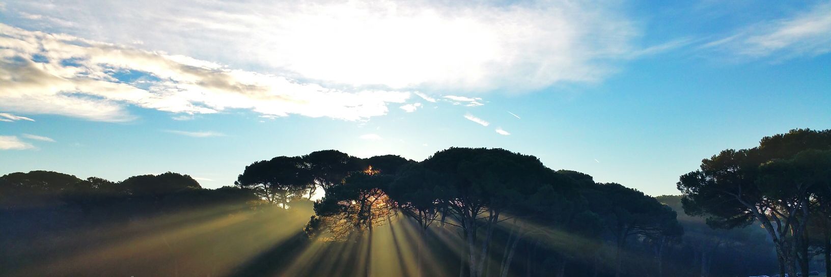 TheRamalocK's profile banner image