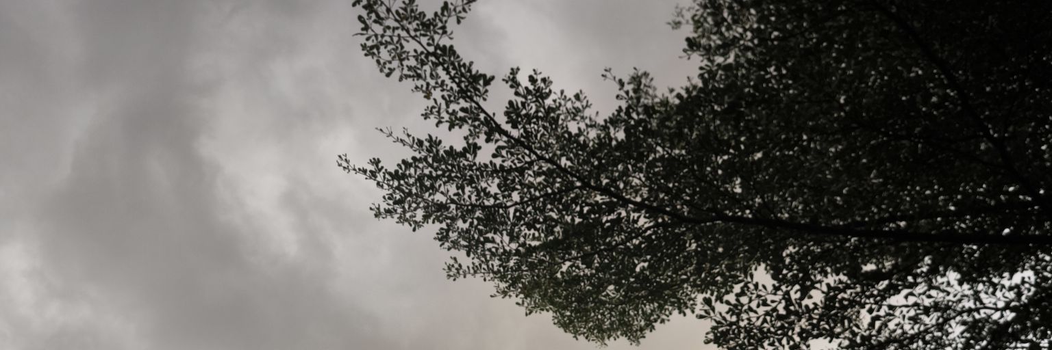 JustTeaaaaaaa's profile banner image