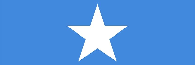 ducaleAli's profile banner image