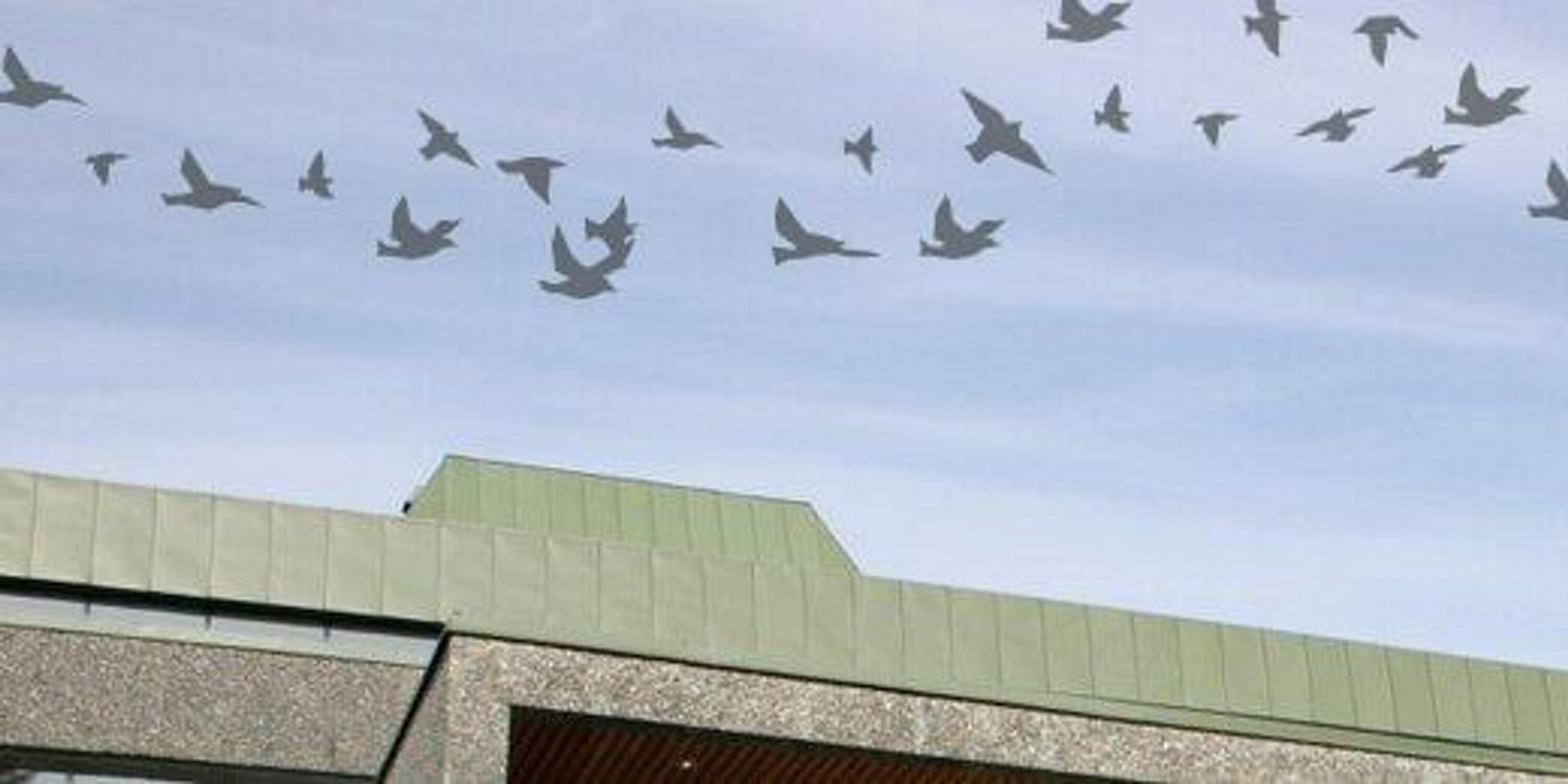 UiB_UB's profile banner image