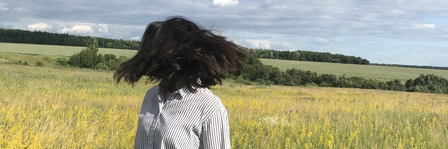 Шашина banner