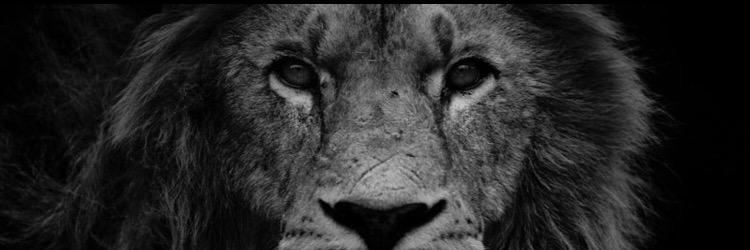 hkesby's profile banner image