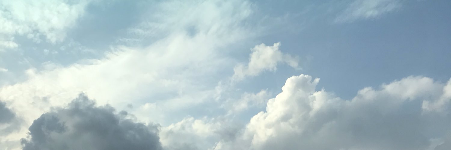 LIONmhr's profile banner image