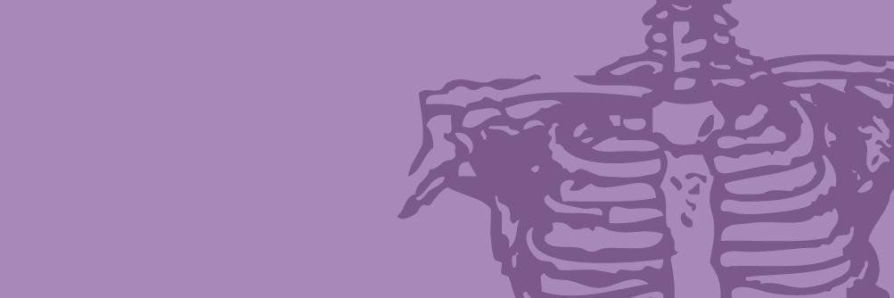 AinaCMora's profile banner image