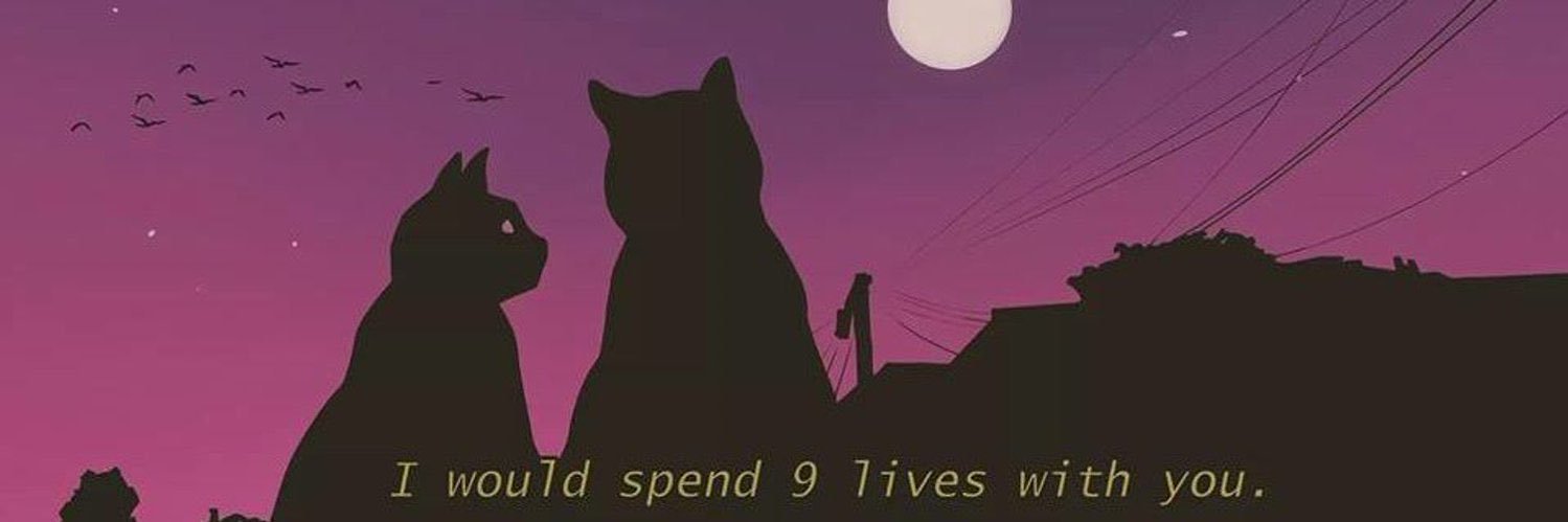 alsayedelkholy's profile banner image
