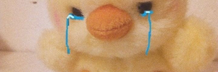 tekysz's profile banner image
