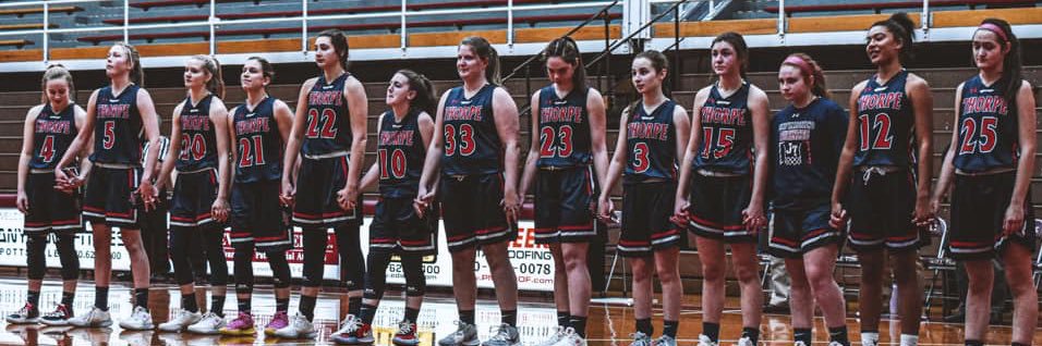 LadyOHoops's profile banner image