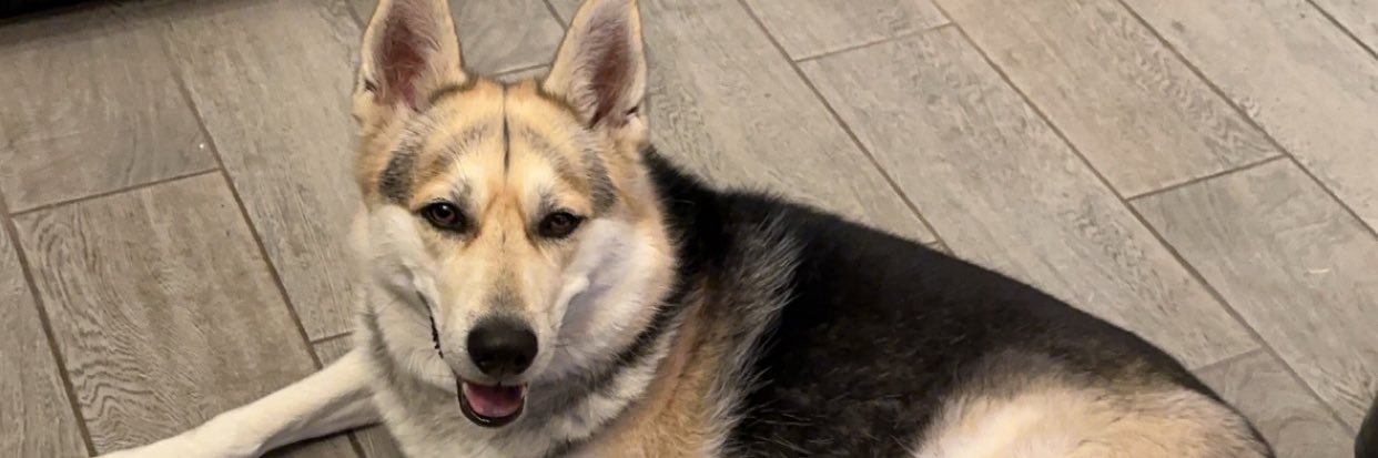 makaylaaar_'s profile banner image