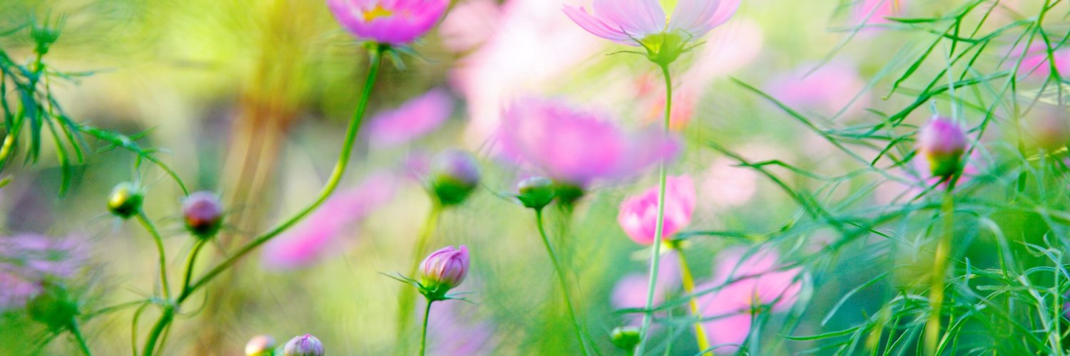 Minox135's profile banner image