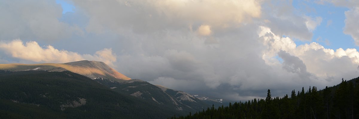 jazzdavis_'s profile banner image