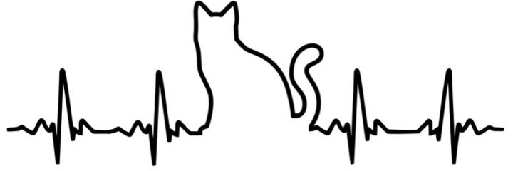 ArleneJDublin's profile banner image