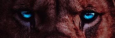 Pure_CFC®🍥 banner