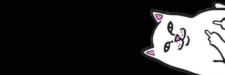 diniimrdnn's profile banner image