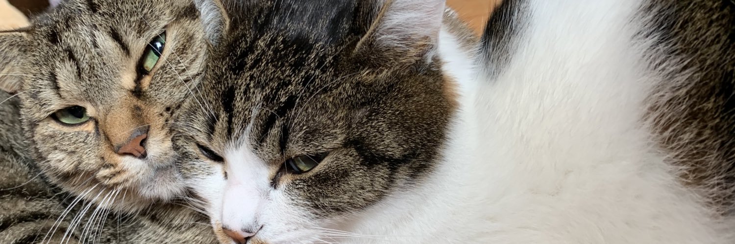 T_R_IN's profile banner image